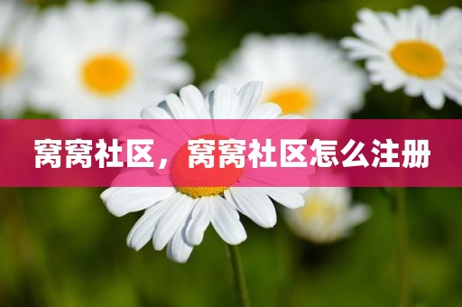 窝窝社区，窝窝社区怎么注册