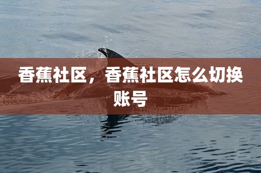 香蕉社区，香蕉社区怎么切换账号