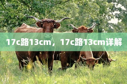 17c路13cm，17c路13cm详解