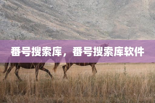 番号搜索库，番号搜索库软件