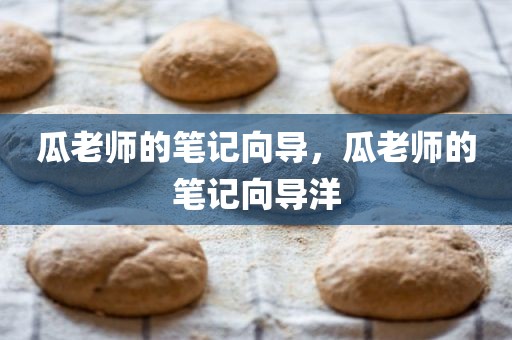 瓜老师的笔记向导，瓜老师的笔记向导洋