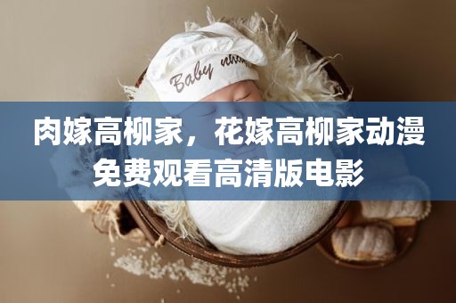 肉嫁高柳家，花嫁高柳家动漫免费观看高清版电影