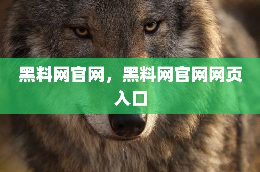黑料网官网，黑料网官网网页入口