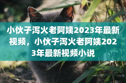 小伙子泻火老阿姨2023年最新视频，小伙子泻火老阿姨2023年最新视频小说