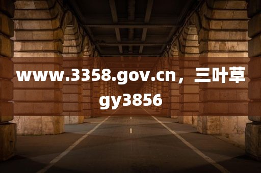 www.3358.gov.cn，三叶草gy3856