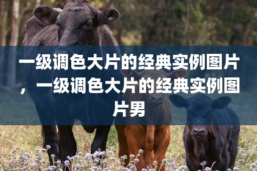 一级调色大片的经典实例图片，一级调色大片的经典实例图片男