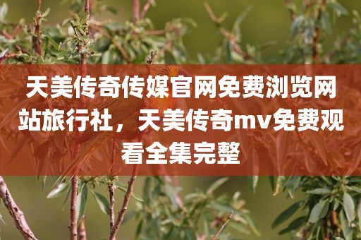 天美传奇传媒官网免费浏览网站旅行社，天美传奇mv免费观看全集完整