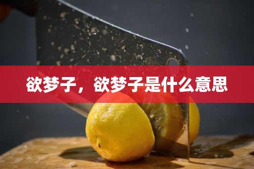 欲梦子，欲梦子是什么意思