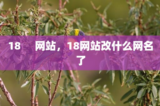 18     网站，18网站改什么网名了