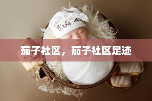 茄子社区，茄子社区足迹