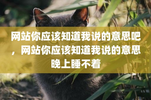网站你应该知道我说的意思吧，网站你应该知道我说的意思晚上睡不着