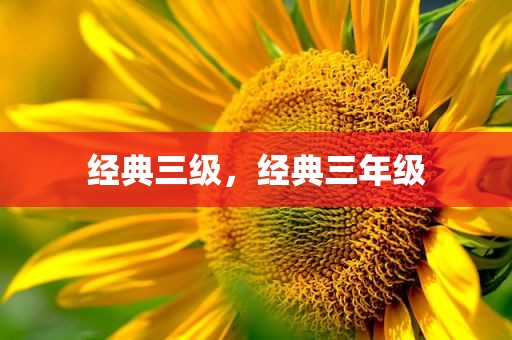 经典三级，经典三年级
