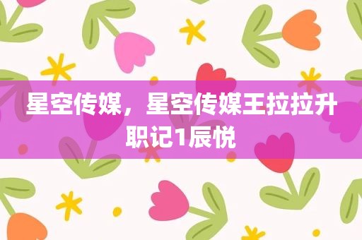 星空传媒，星空传媒王拉拉升职记1辰悦