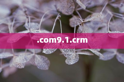 .com9.1.crm