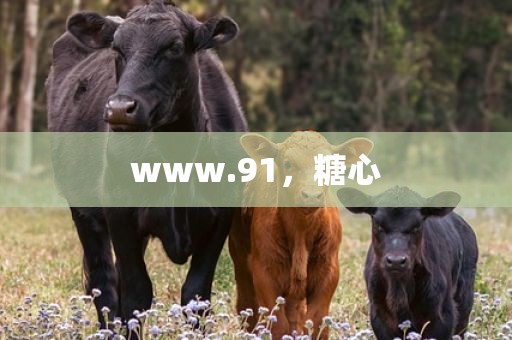 www.91，糖心