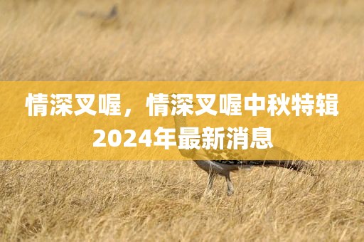 情深叉喔，情深叉喔中秋特辑2024年最新消息