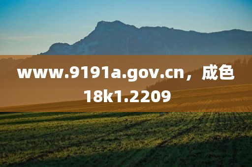 www.9191a.gov.cn，成色18k1.2209