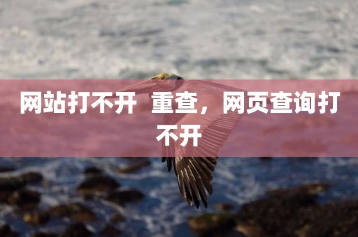 网站打不开  重查，网页查询打不开