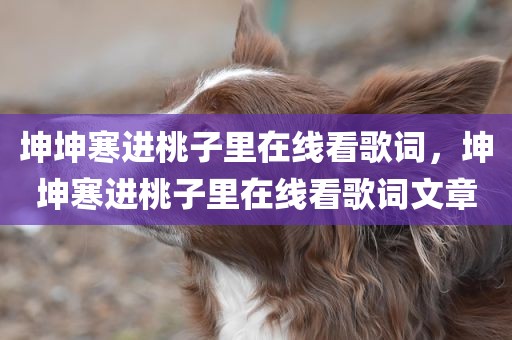 坤坤寒进桃子里在线看歌词，坤坤寒进桃子里在线看歌词文章