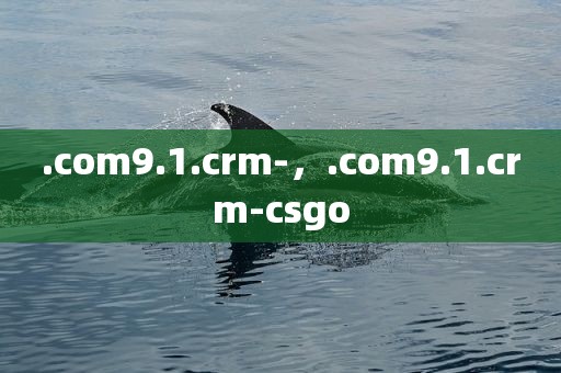 .com9.1.crm-，.com9.1.crm-csgo