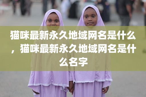 猫咪最新永久地域网名是什么，猫咪最新永久地域网名是什么名字
