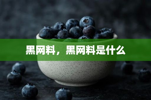 黑网料，黑网料是什么