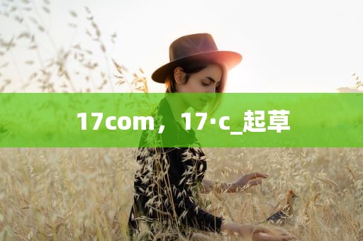 17com，17·c_起草