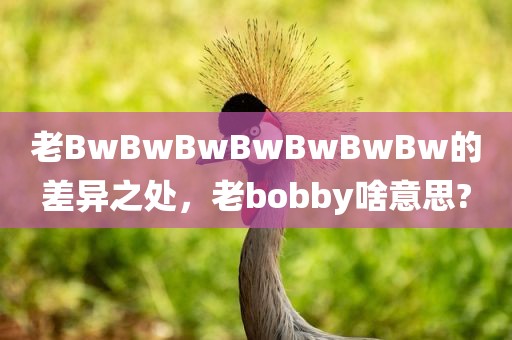 老BwBwBwBwBwBwBw的差异之处，老bobby啥意思?