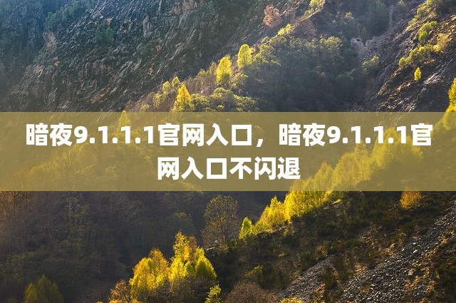 暗夜9.1.1.1官网入口，暗夜9.1.1.1官网入口不闪退