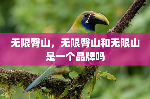 无限臀山，无限臀山和无限山是一个品牌吗