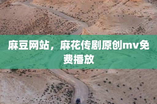 麻豆网站，麻花传剧原创mv免费播放