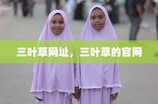 三叶草网址，三叶草的官网