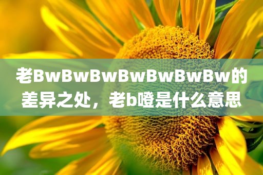 老BwBwBwBwBwBwBw的差异之处，老b噔是什么意思