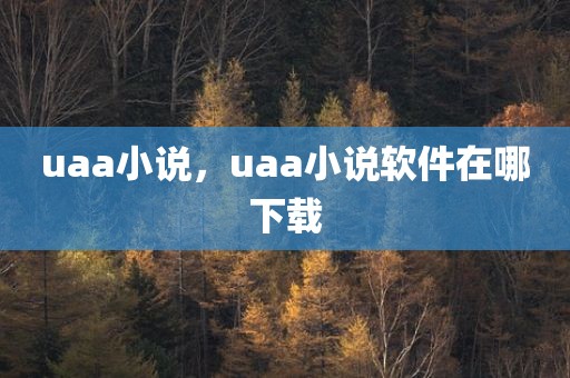 uaa小说，uaa小说软件在哪下载