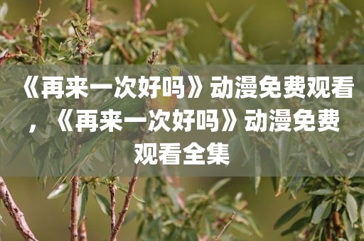《再来一次好吗》动漫免费观看，《再来一次好吗》动漫免费观看全集