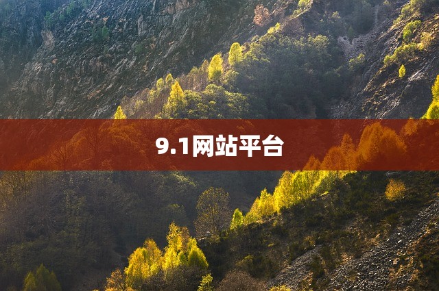 9.1网站平台
