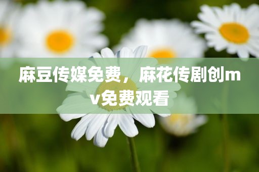 麻豆传媒免费，麻花传剧创mv免费观看
