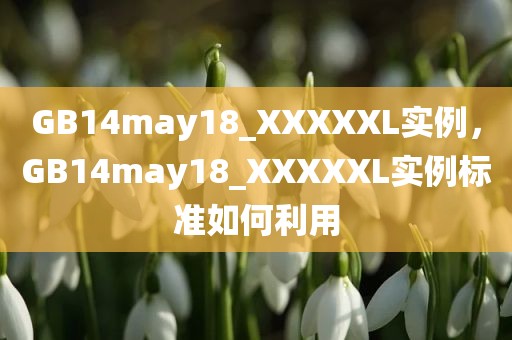 GB14may18_XXXXXL实例，GB14may18_XXXXXL实例标准如何利用