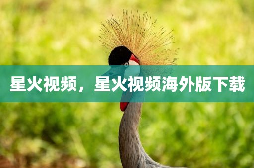 星火视频，星火视频海外版下载