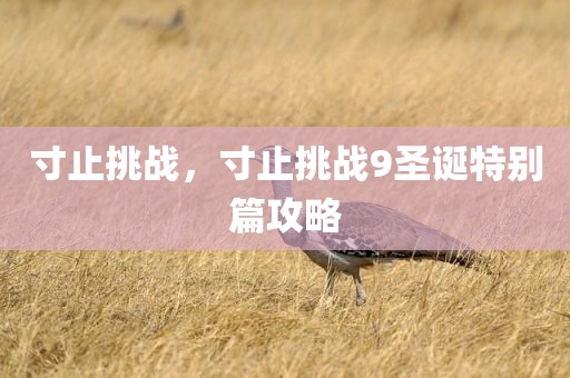 寸止挑战，寸止挑战9圣诞特别篇攻略