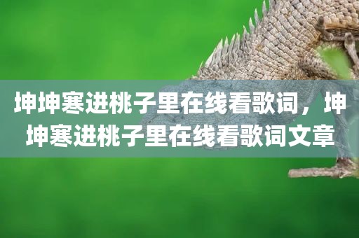 坤坤寒进桃子里在线看歌词，坤坤寒进桃子里在线看歌词文章
