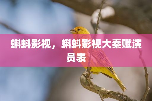 蝌蚪影视，蝌蚪影视大秦赋演员表