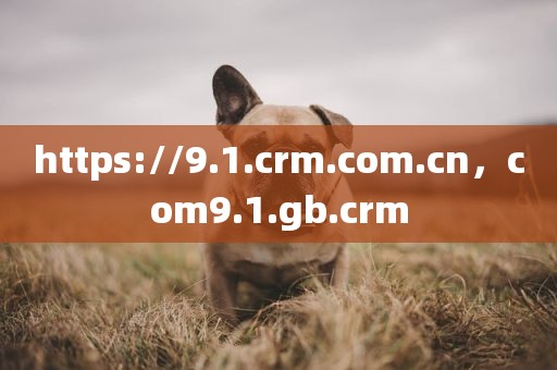 https://9.1.crm.com.cn，com9.1.gb.crm