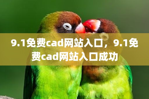 9.1免费cad网站入口，9.1免费cad网站入口成功