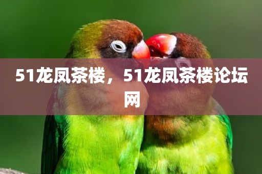51龙凤茶楼，51龙凤茶楼论坛网
