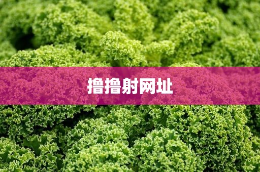 撸撸射网址