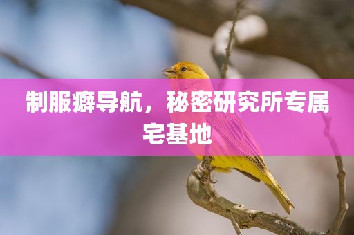 制服癖导航，秘密研究所专属宅基地