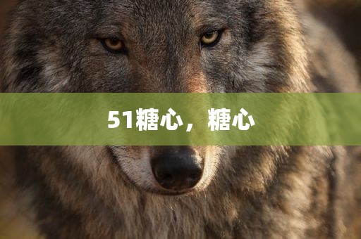 51糖心，糖心