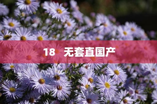 18   无套直国产