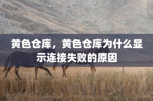 黄色仓库，黄色仓库为什么显示连接失败的原因